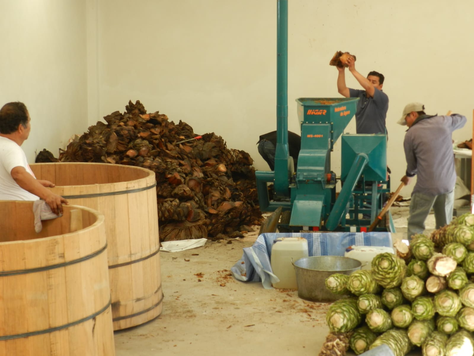 Agave Milling